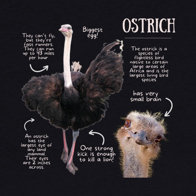 Animal Facts - Ostrich by Animal Facts and Trivias